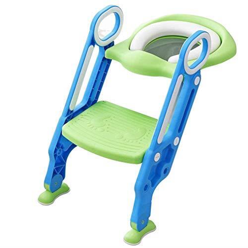 Toilet Ladder - Green & Blue