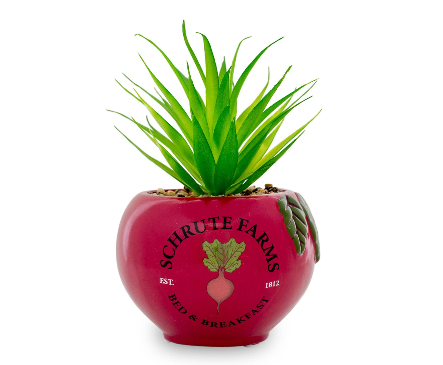 The Office Schrute Farms Rustic 8-Inch Planter With Artificial Succulent