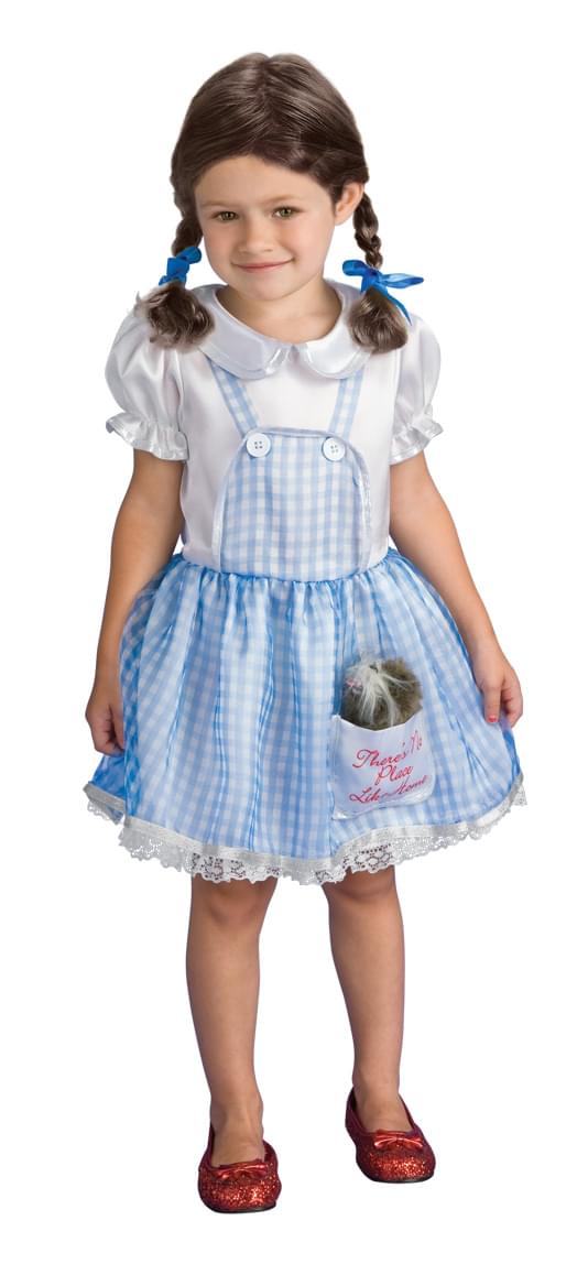 Wizard of Oz Dorothy Costume Toddler Small 4-6