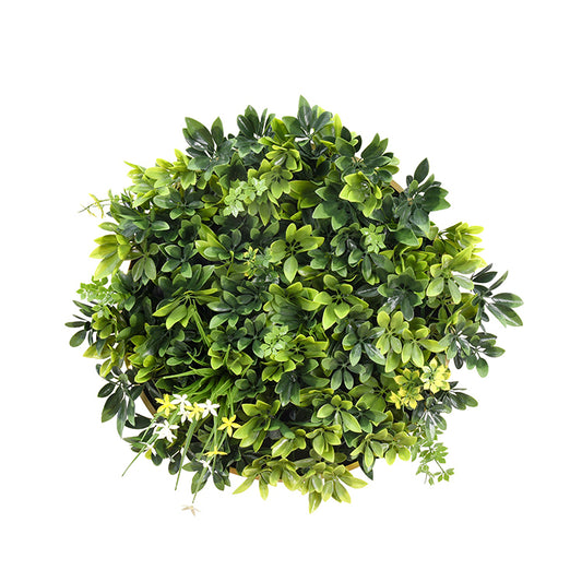 Artificial Green Wall Plant Garden Panel Daffodil Smile Disc Art 50cm Grassy  UV Resistant Frame