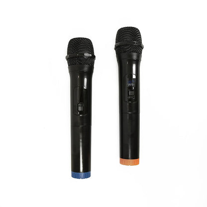 2 x Wireless Microphone Handheld Cordless Professional Mic Karaoke Receiver