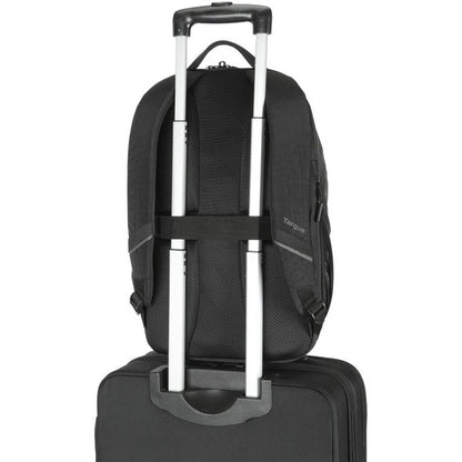 Targus TBB608GL Carrying Case (Backpack) for 15.6" Notebook - Black