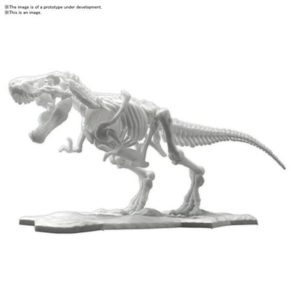 Tyrannosaurus Dinosaur Limex Skeleton Bandai Spirits Hobby Model Kit