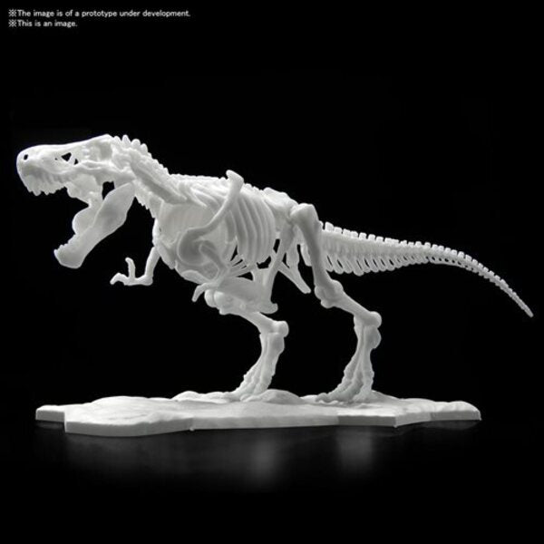 Tyrannosaurus Dinosaur Limex Skeleton Bandai Spirits Hobby Model Kit