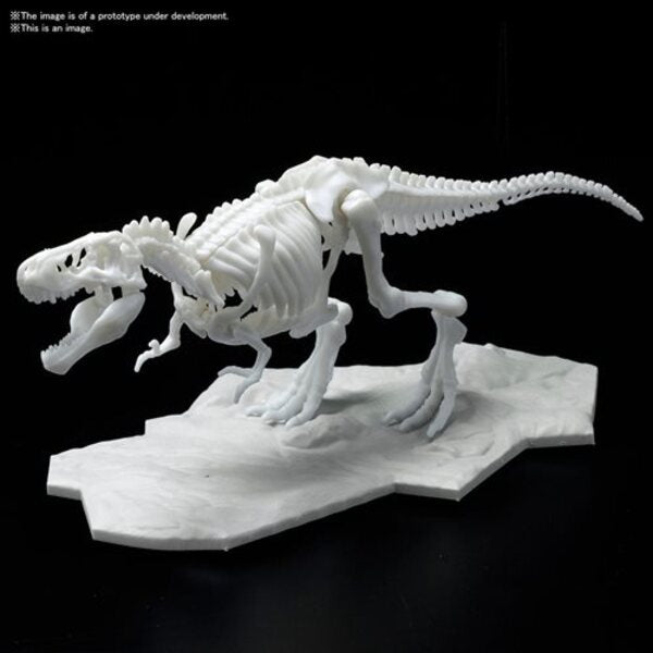 Tyrannosaurus Dinosaur Limex Skeleton Bandai Spirits Hobby Model Kit