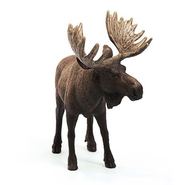 Wild Life Moose Bull Collectible Figure