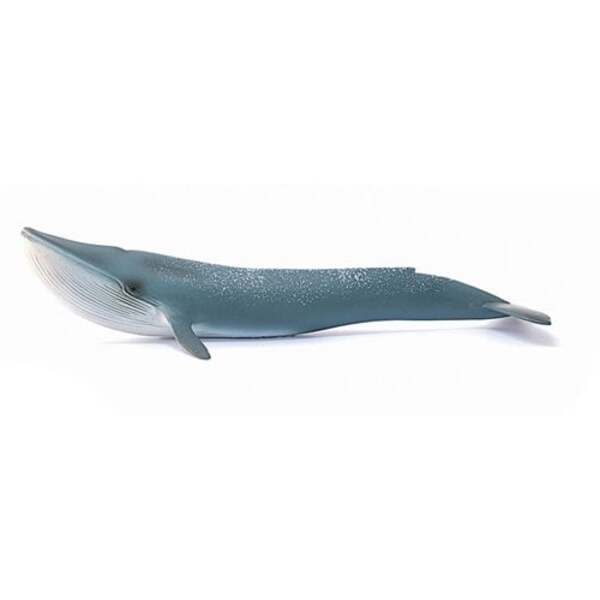 Wild Life Blue Whale Collectible Figure