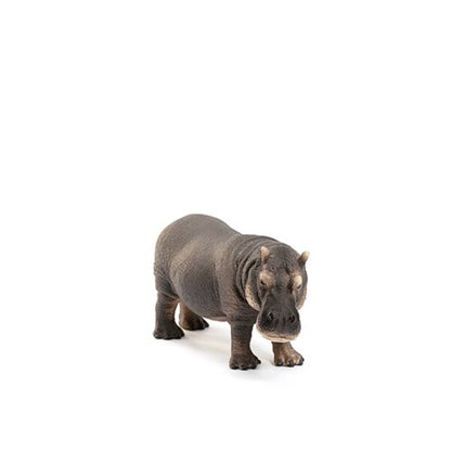 Wild Life Hippopotamus Collectible Figure