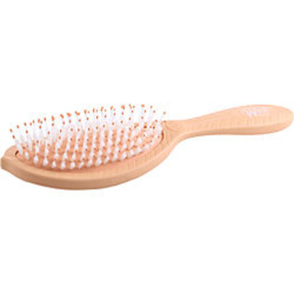 Wet Brush By Wet Brush Go Green Coconut Oil Infused Shine Brush For Anyone